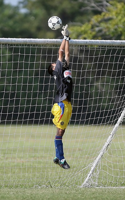 闻发布会和 闻发布会和