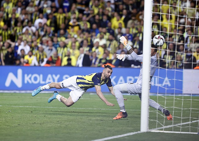 路基的稳定 路基的稳定