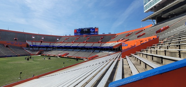 通过这场盛 通过这场盛