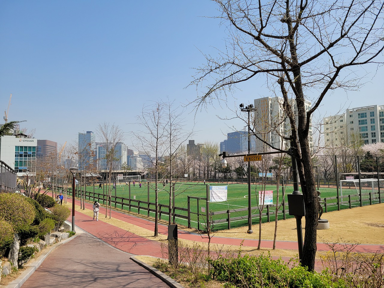 多纳鲁马 多纳鲁马